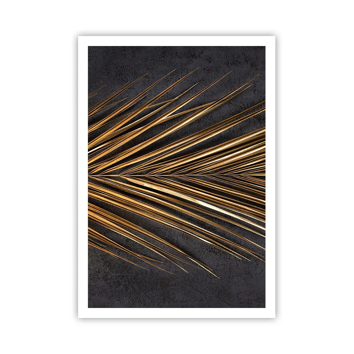 Plakat - Tropernes guld - 70x100 cm