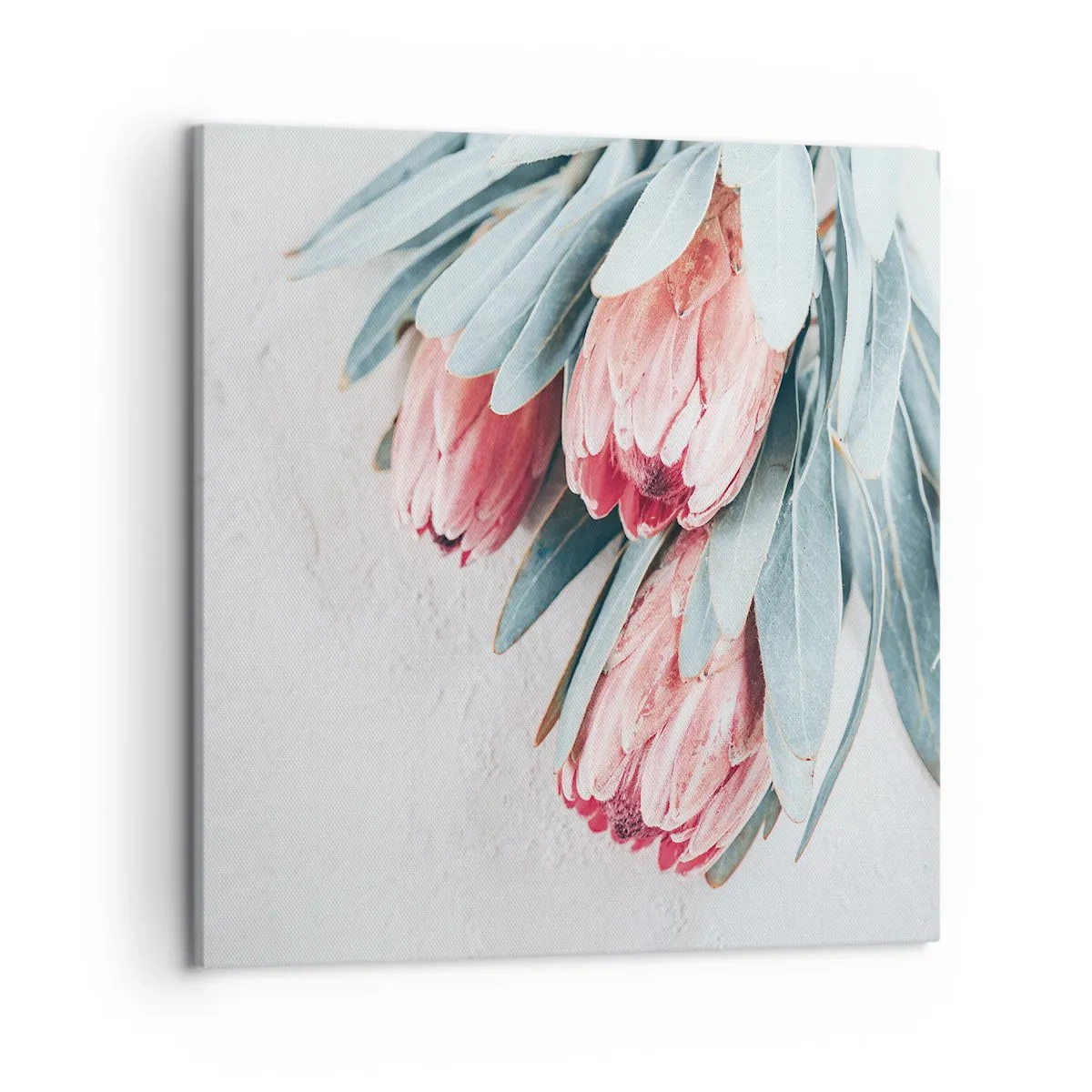 Lærredstryk - Billede på lærred - Skammer sig over deres egen skønhed - 50x50 cm