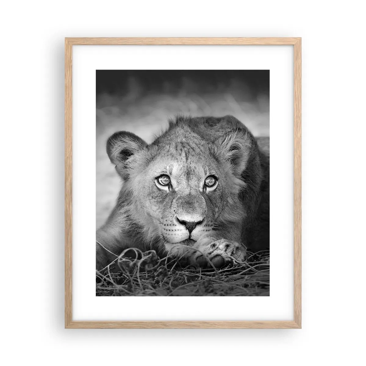 Plakat i ramme af lyst egetræ - Kongelig hvalp - 40x50 cm