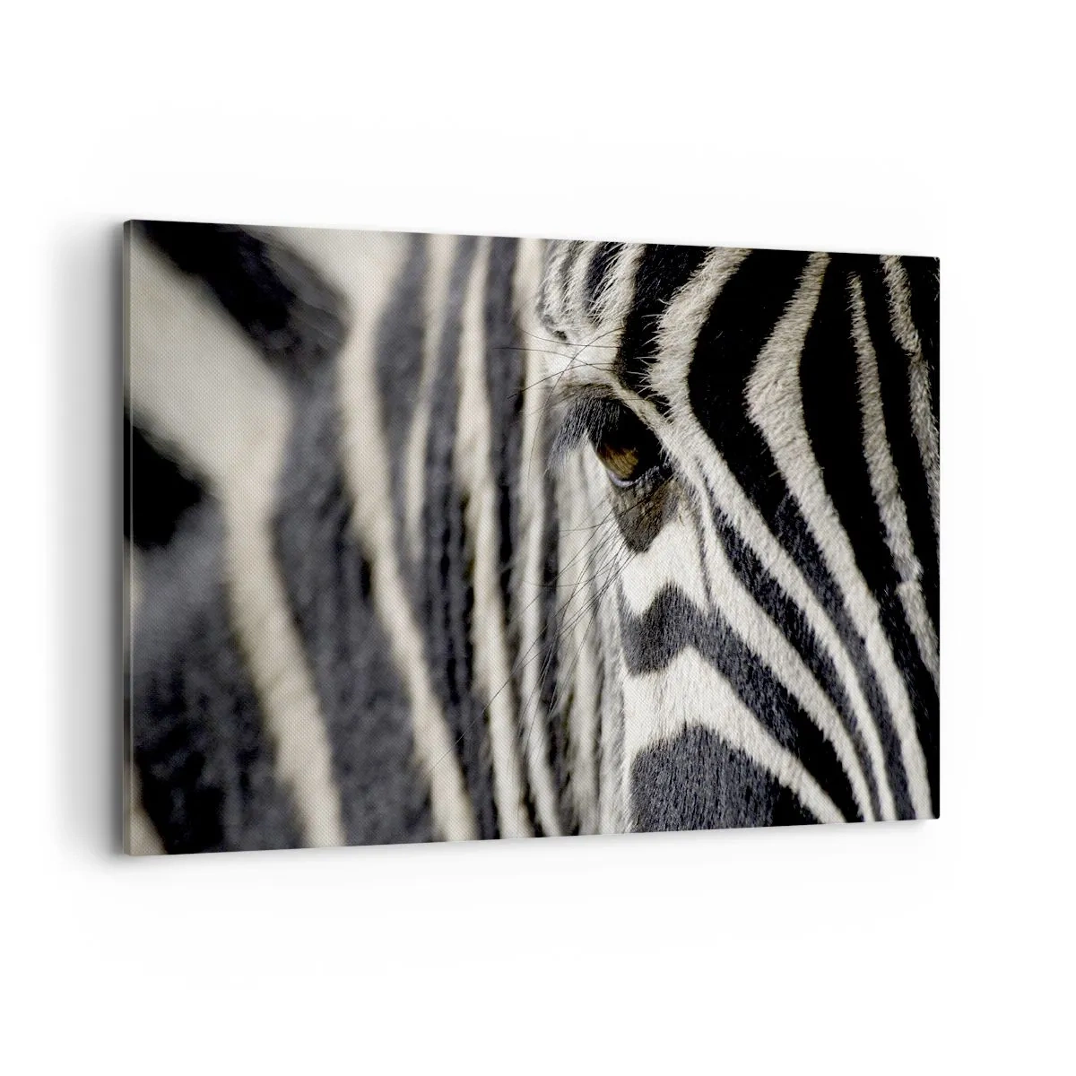 Lærredstryk - Billede på lærred - Stribet portræt - 120x80 cm