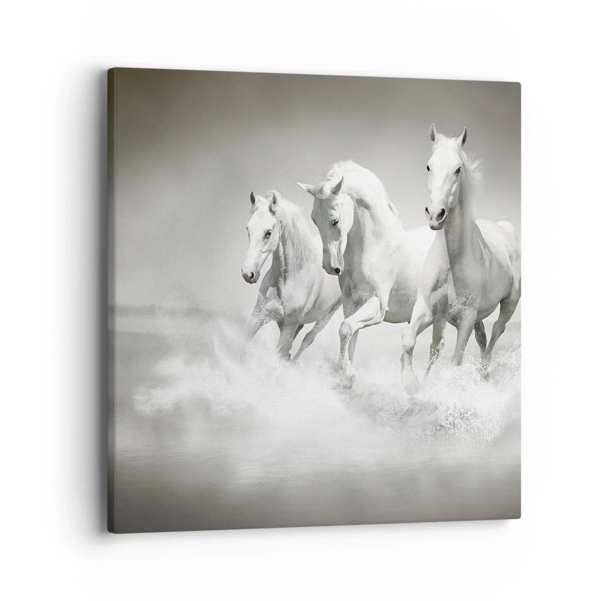 Lærredstryk - Billede på lærred - Hvid galskab - 40x40 cm