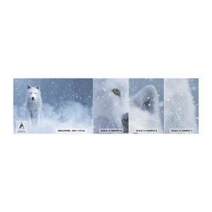 Prøve Fototapet Premium Canvas - I vinterens ånd - hvid ulv, Dyr, Vinter - 100x30 cm