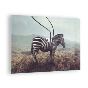 Billede på glas - Zebra på græsbaggrund med surrealistiske antennedetaljer - 70x50cm - OBS! Fejl - Moderne vægdekoration til stue og soveværelse ARTTOR