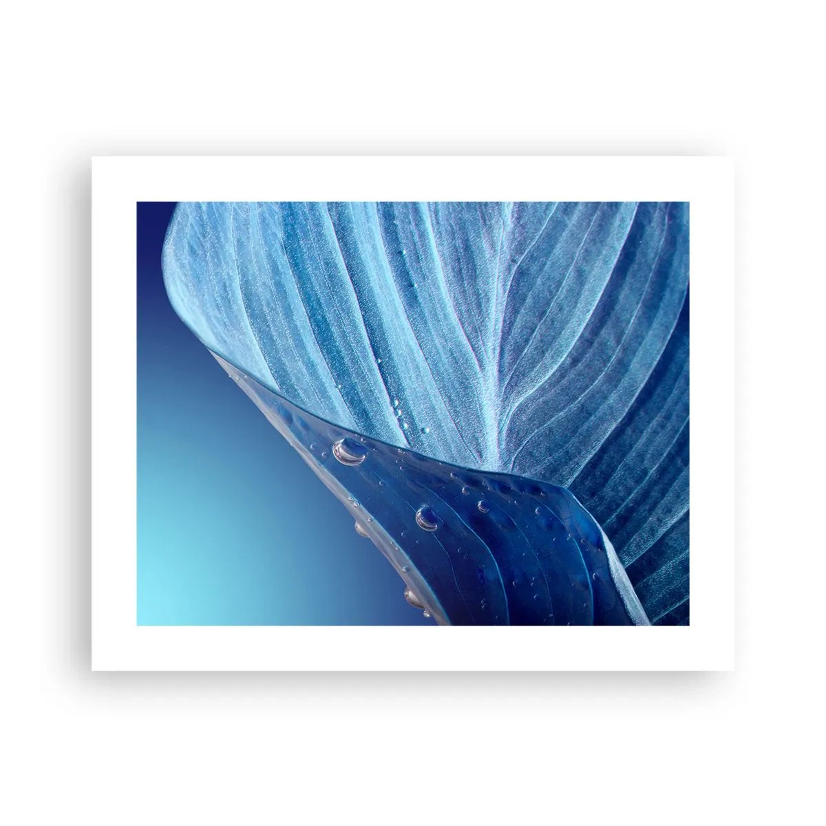 Plakat - Skjulte dråber af blåt - 50x40 cm