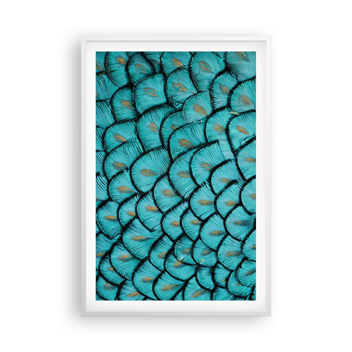 Plakat i hvid ramme - Den store fjer-galla - 61x91 cm