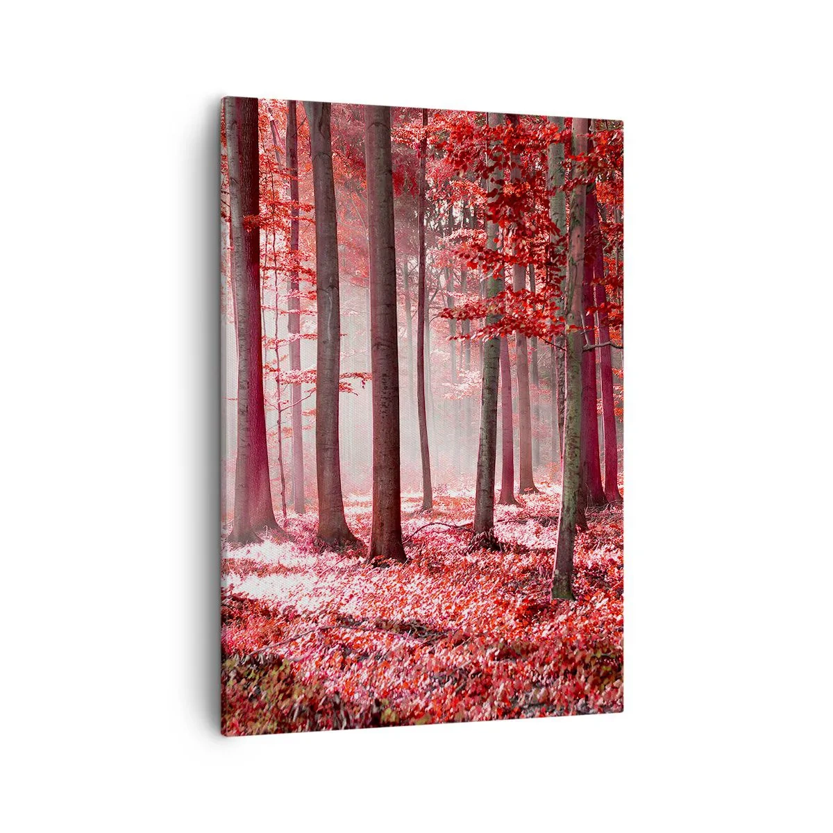 Lærredstryk - Billede på lærred - Rød er lige så smuk - 50x70 cm
