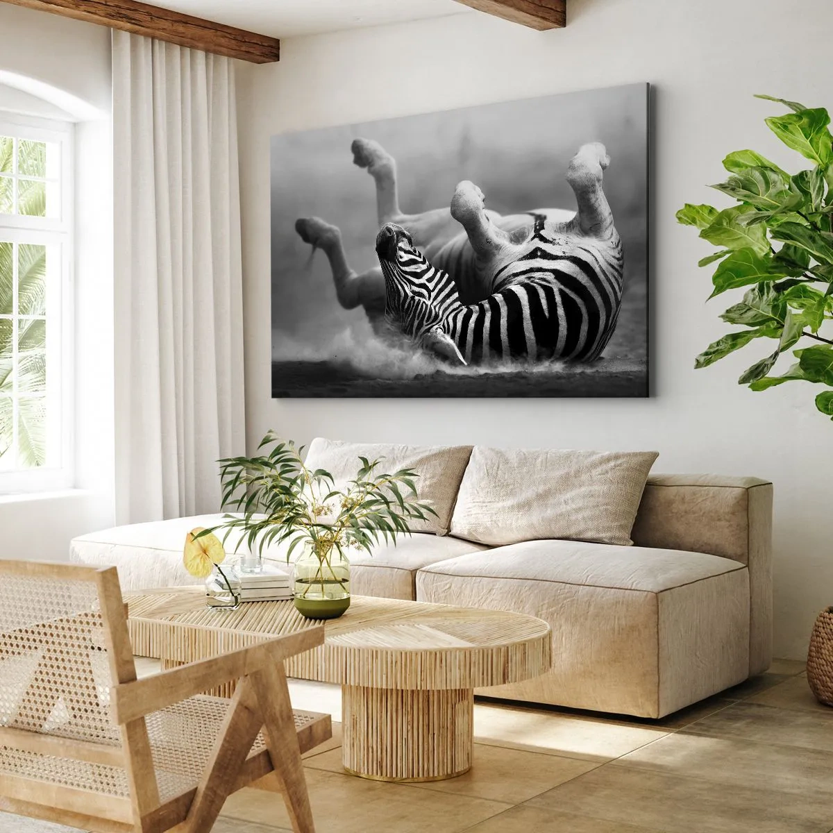 Lærredstryk - Billede på lærred - En sort og hvid zebra ruller sig i sandet - 70x50cm - Ikke kun en hest ville grine - Moderne vægdekoration til stue og soveværelse ARTTOR