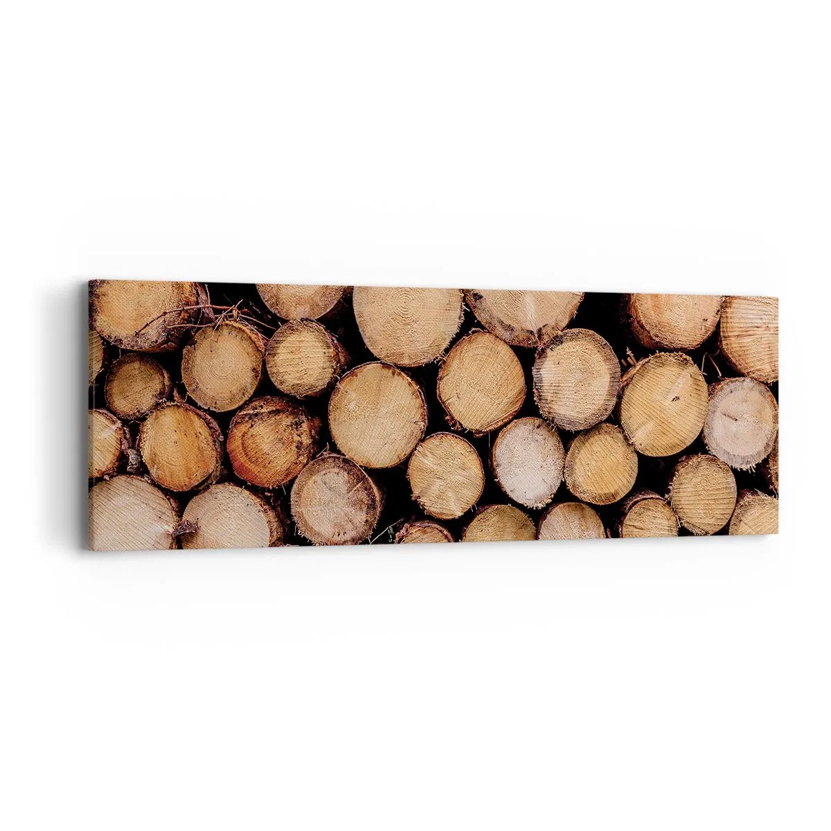 Lærredstryk - Billede på lærred - En ny begyndelse - 90x30 cm