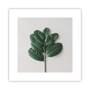 Plakat - Tegning af selve naturen - 30x30 cm