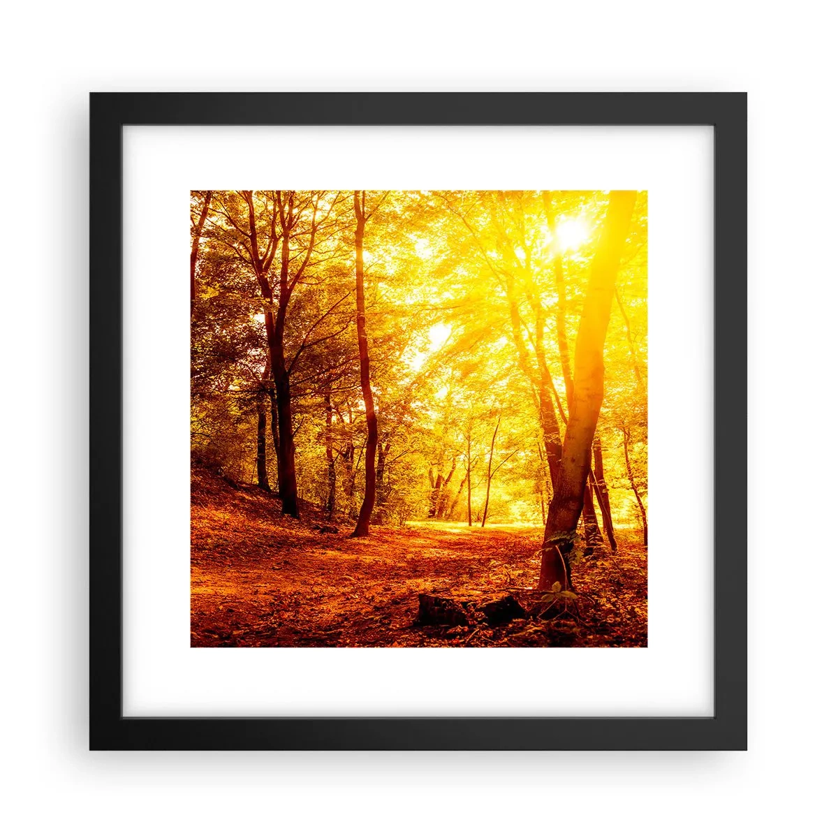 Plakat i sort ramme - Til den gyldne lysning - 30x30 cm