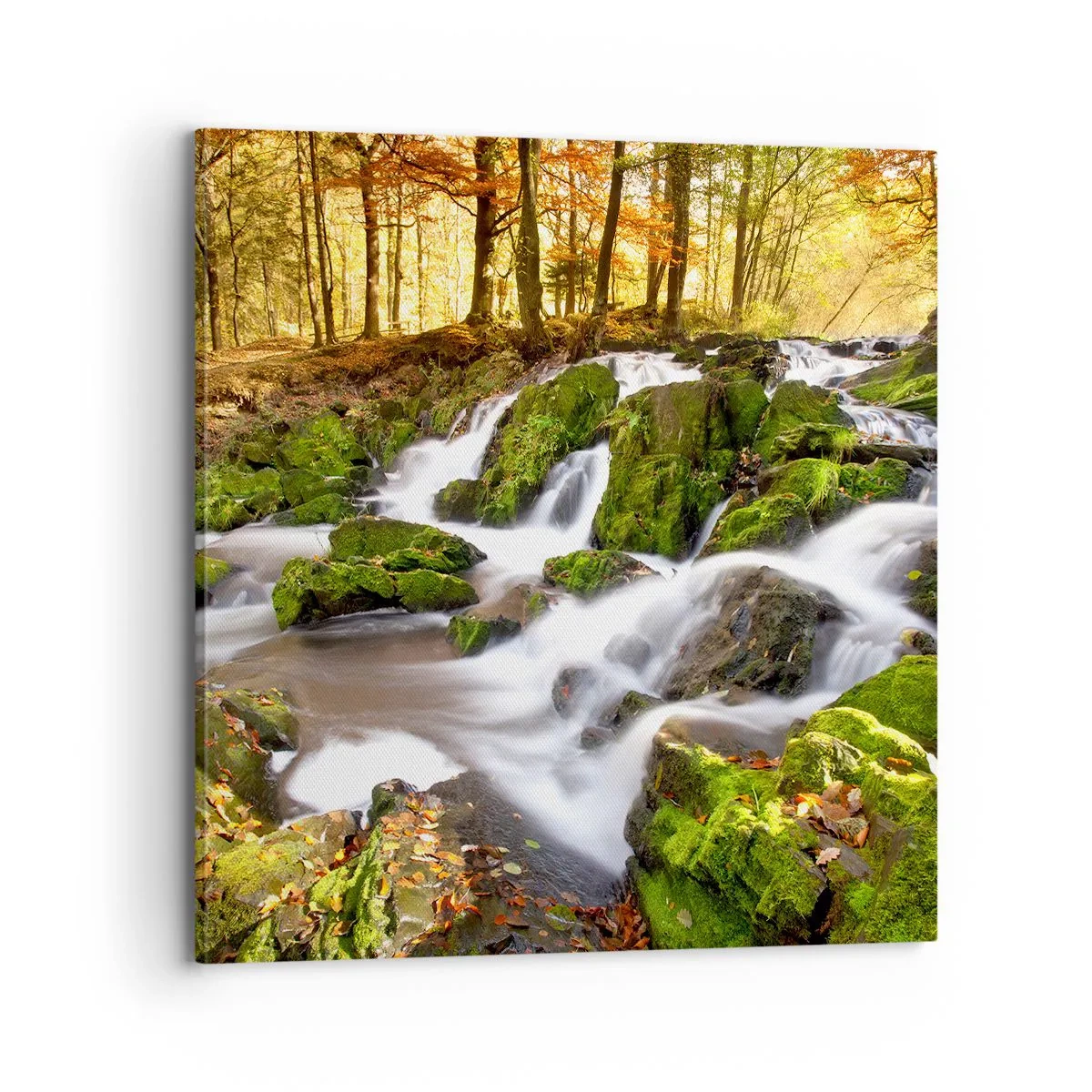Lærredstryk - Billede på lærred - Bystrøm gennem efterårsskoven - 70x70 cm