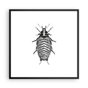 Plakat i sort ramme - Sikke et eksemplar! - 60x60 cm