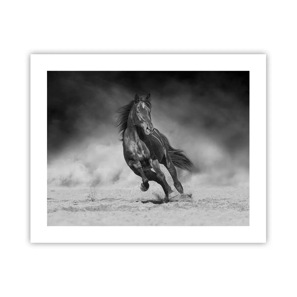 Plakat - Værdig til emiren selv - 50x40 cm
