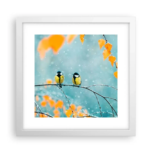Plakat i hvid ramme - Sladder om fugle - 30x30 cm