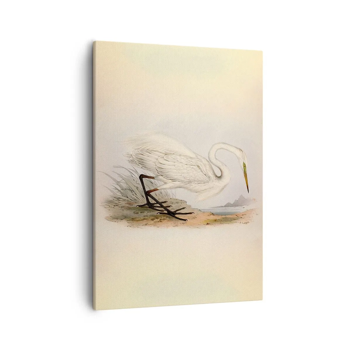 Lærredstryk - Billede på lærred - Dame på sivene - 50x70 cm