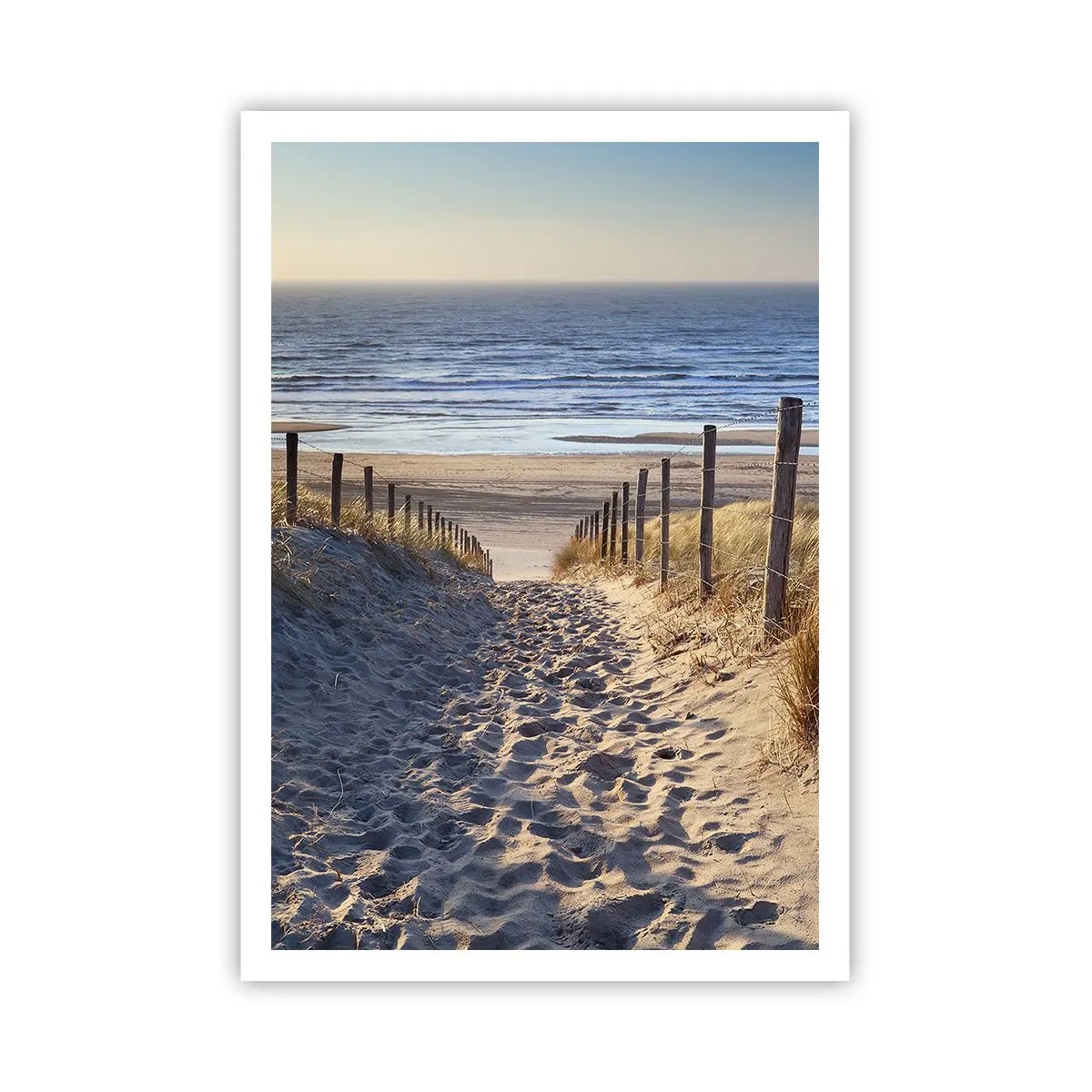 Plakat - Havet brummer, fuglene synger, en vild strand midt i græsset.... - 70x100 cm