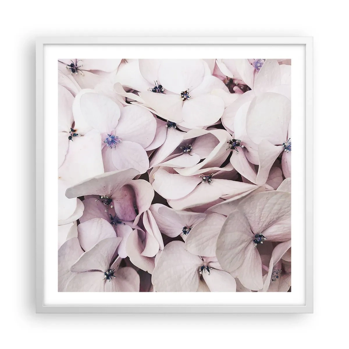 Plakat i hvid ramme - I en flod af blomster - 60x60 cm