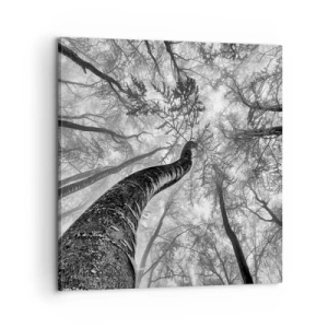 Lærredstryk - Billede på lærred - Kapløb mod lyset - 60x60 cm