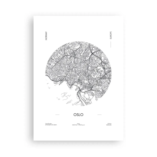 Plakat - Anatomi af Oslo - 50x70 cm