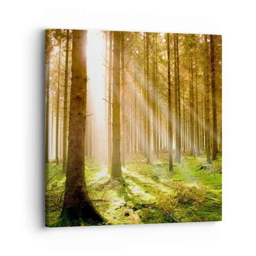 Lærredstryk - Billede på lærred - Nisserne er ved at dukke op - 30x30 cm