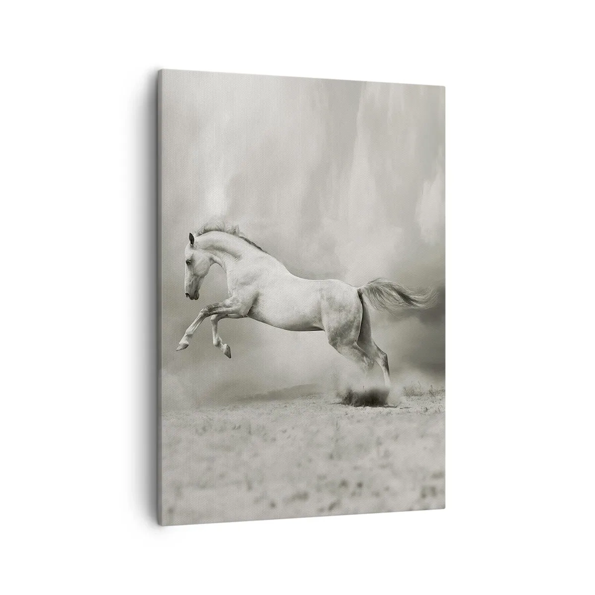 Lærredstryk - Billede på lærred - Mellem vågenhed og drømme - 50x70 cm