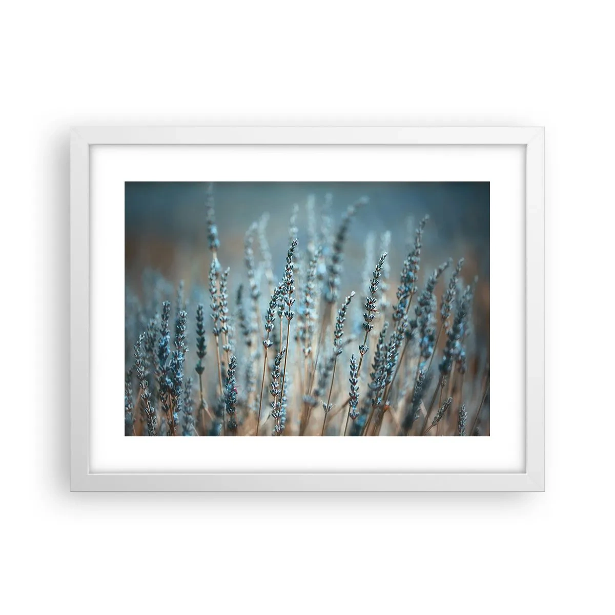 Plakat i hvid ramme - Duftende plet - 40x30 cm