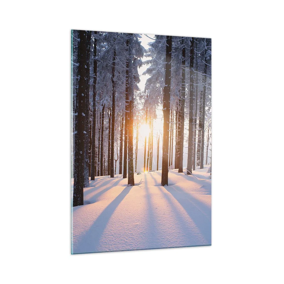 Billede på glas - Klart i sort og hvidt - 50x70 cm