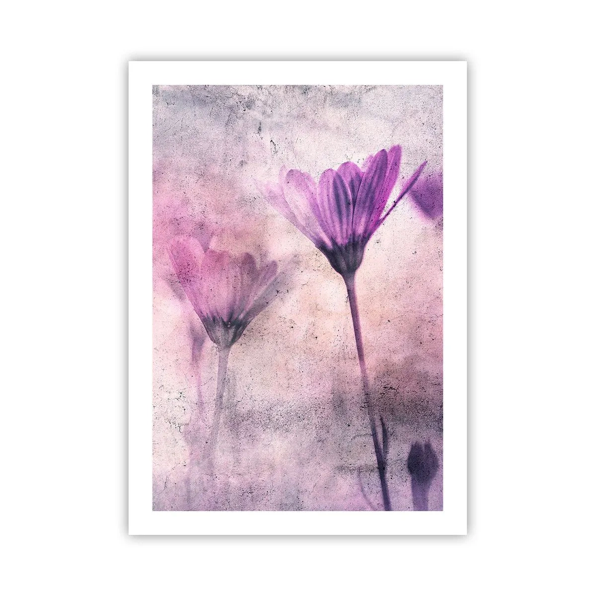 Plakat - En drøm af blomster - 50x70 cm