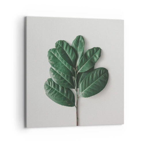 Lærredstryk - Billede på lærred - Tegning af selve naturen - 50x50 cm