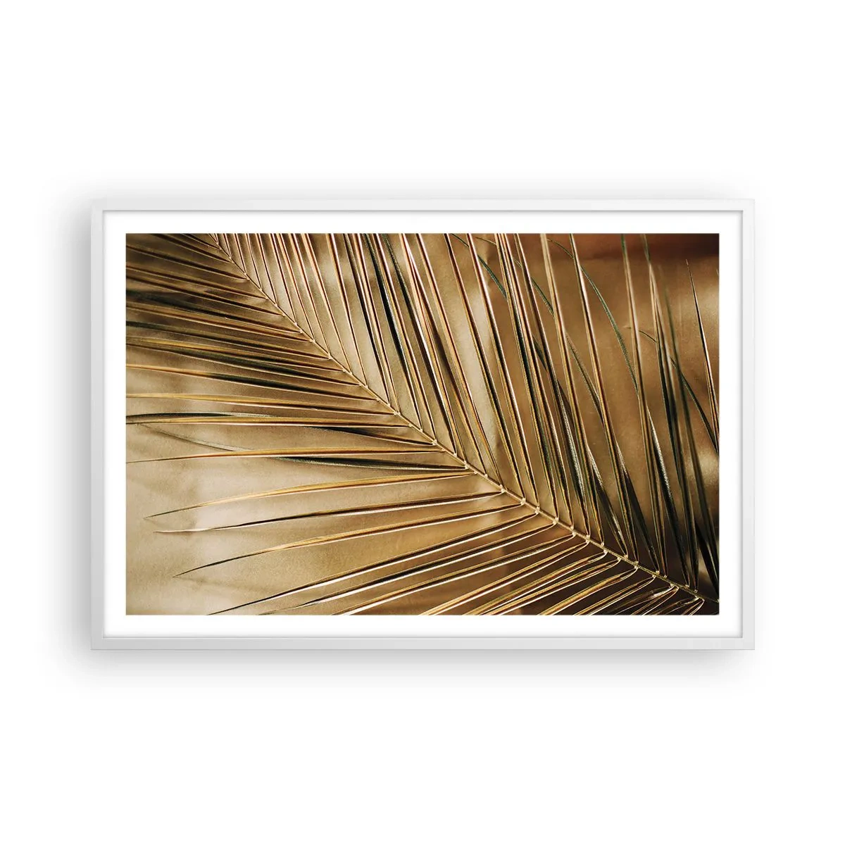 Plakat i hvid ramme - Naturlig kolonnade - 91x61 cm