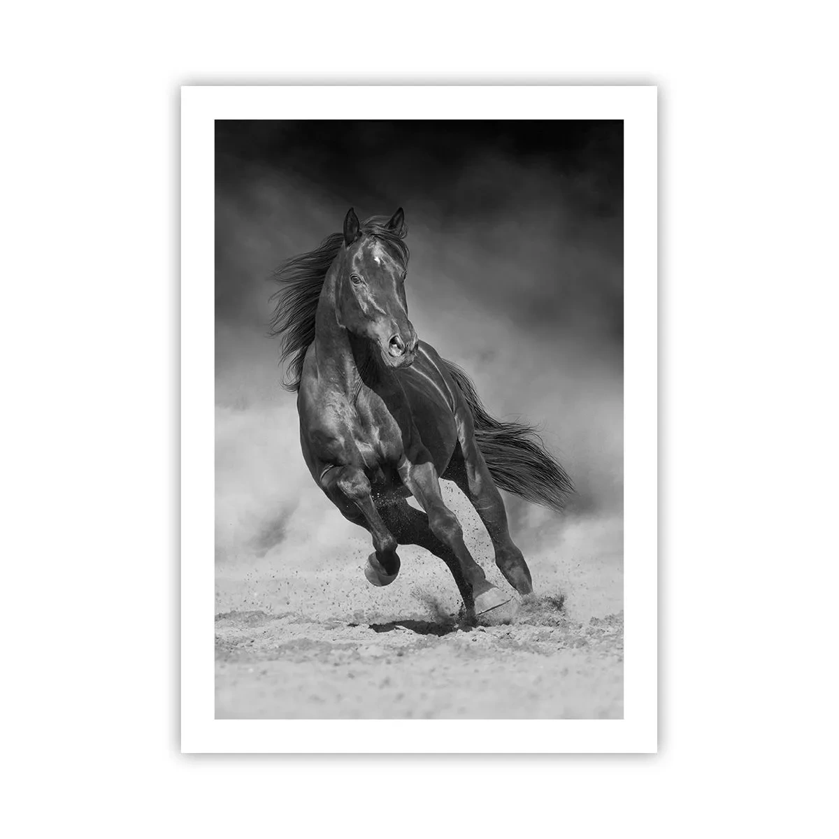 Plakat - Værdig til emiren selv - 50x70 cm