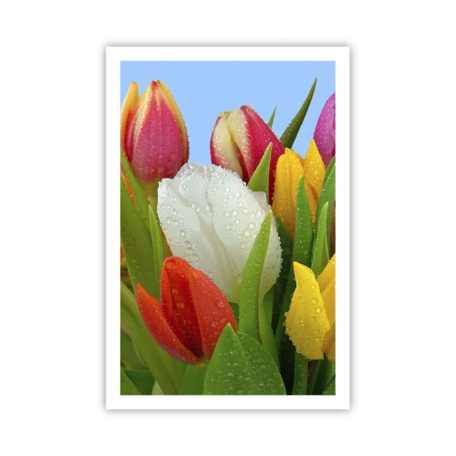 Plakat - En blomstret regnbue i dugdråber - 61x91 cm