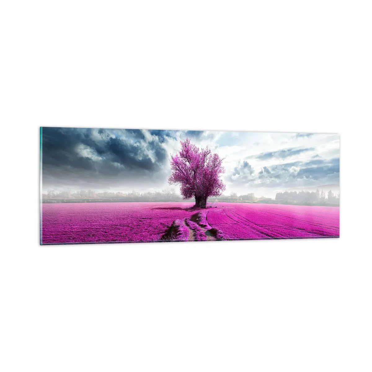 Billede på glas - Hedeslette - charmerende - 90x30 cm