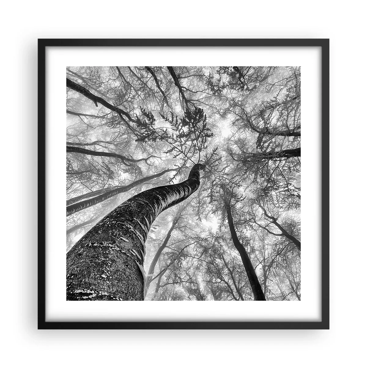 Plakat i sort ramme - Kapløb mod lyset - 50x50 cm