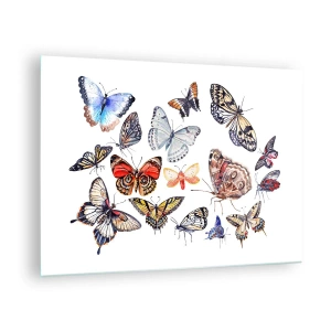 Billede på glas - Farverige sommerfugle i en kunstnerisk komposition - 70x50cm - Blonder, farverig sværm - Moderne vægdekoration til stue og soveværelse ARTTOR