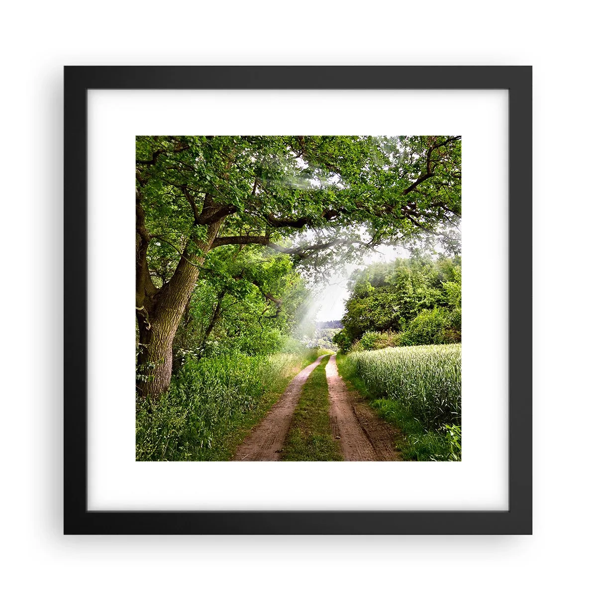 Plakat i sort ramme - Et in Arcadia ego - 30x30 cm