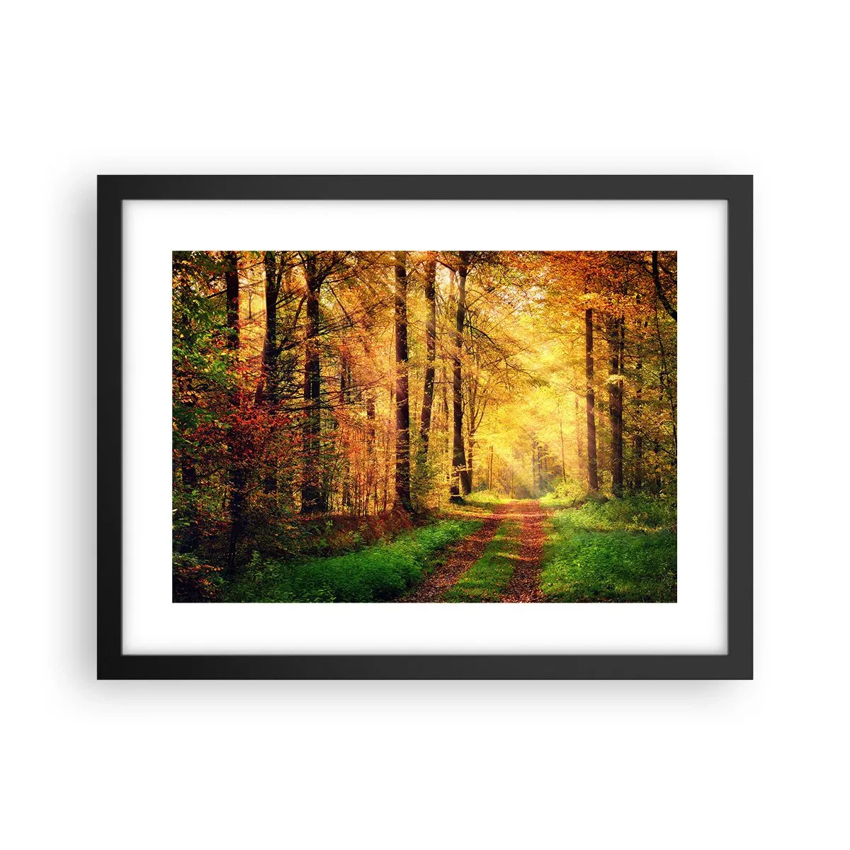 Plakat i sort ramme - Skovgylden stilhed - 40x30 cm