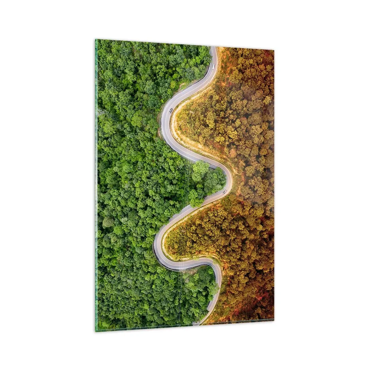 Billede på glas - Grænser og gennembrud - 80x120 cm