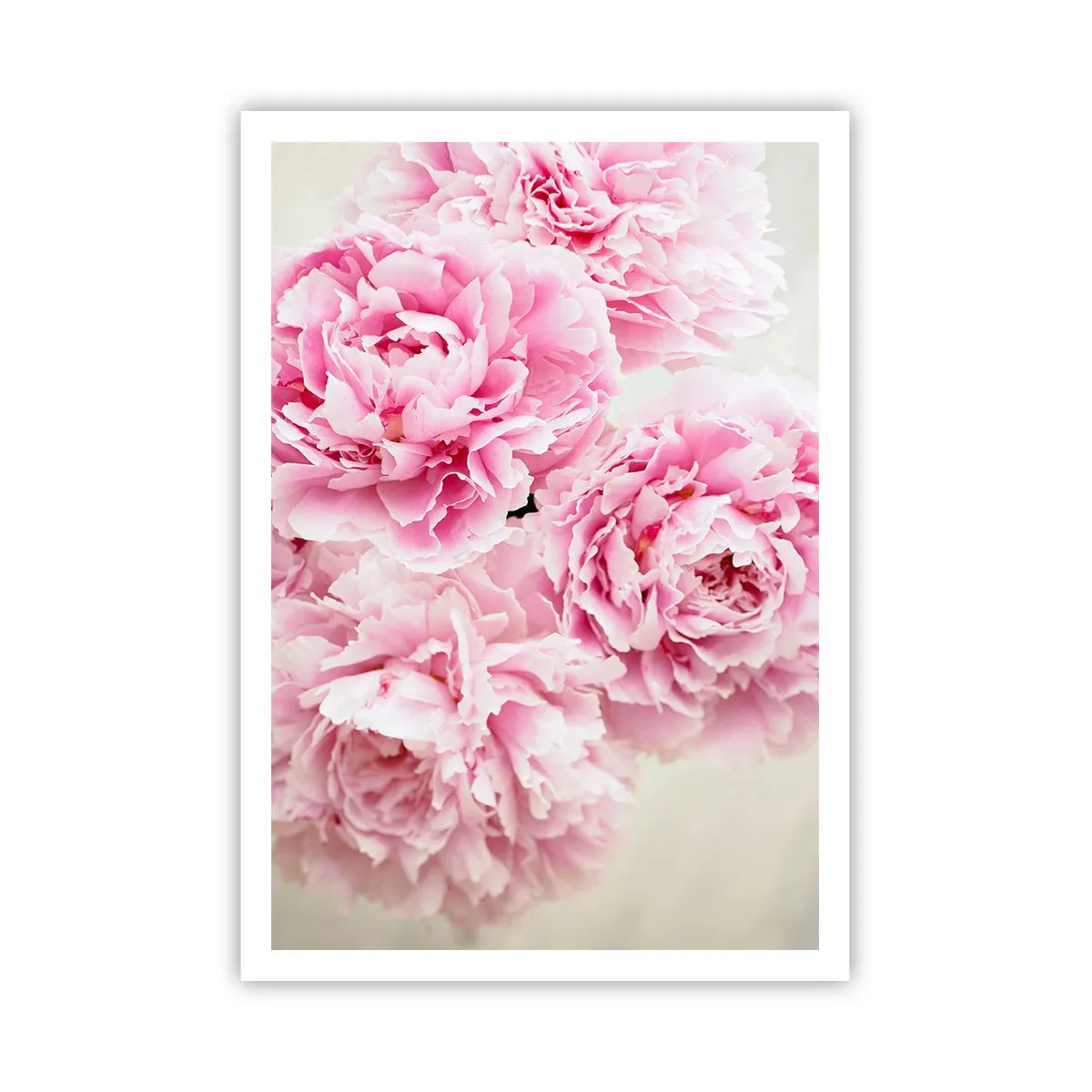 Plakat - I lyserød glamour - 70x100 cm