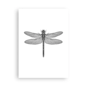 Plakat - Præcision i naturen - 50x70 cm