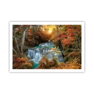 Plakat - Skovens skjulte skat - 91x61 cm