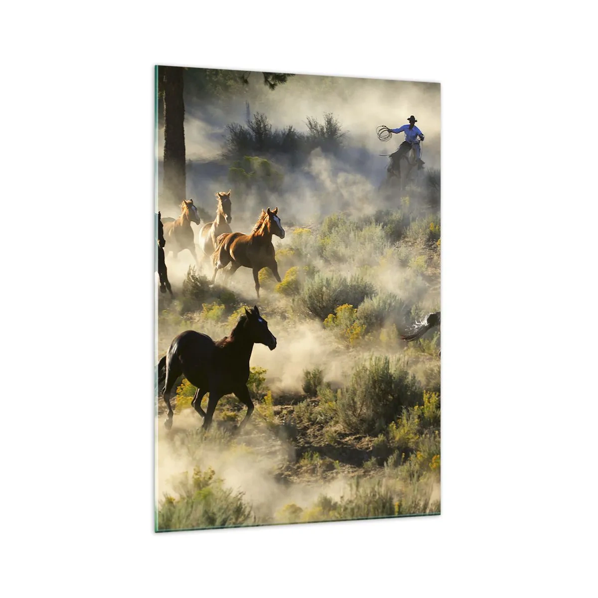 Billede på glas - Rivalisering - frihed eller maskulin kraft? - 70x100 cm