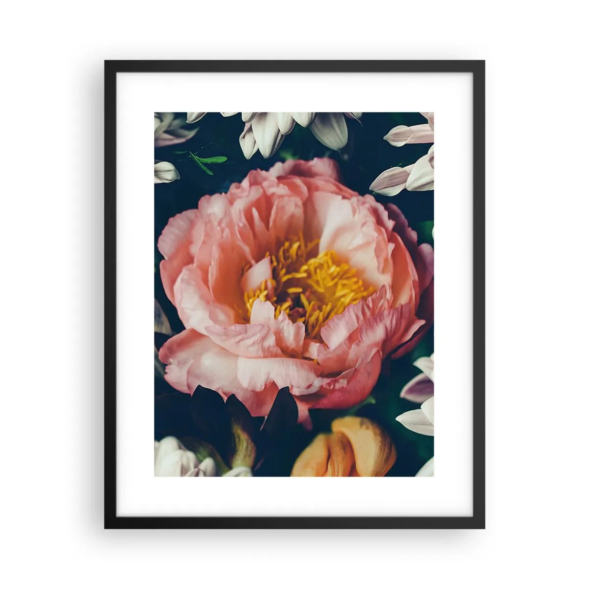 Plakat i sort ramme - Med barok pragt - 40x50 cm