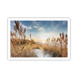 Plakat - Nordstrand - 91x61 cm