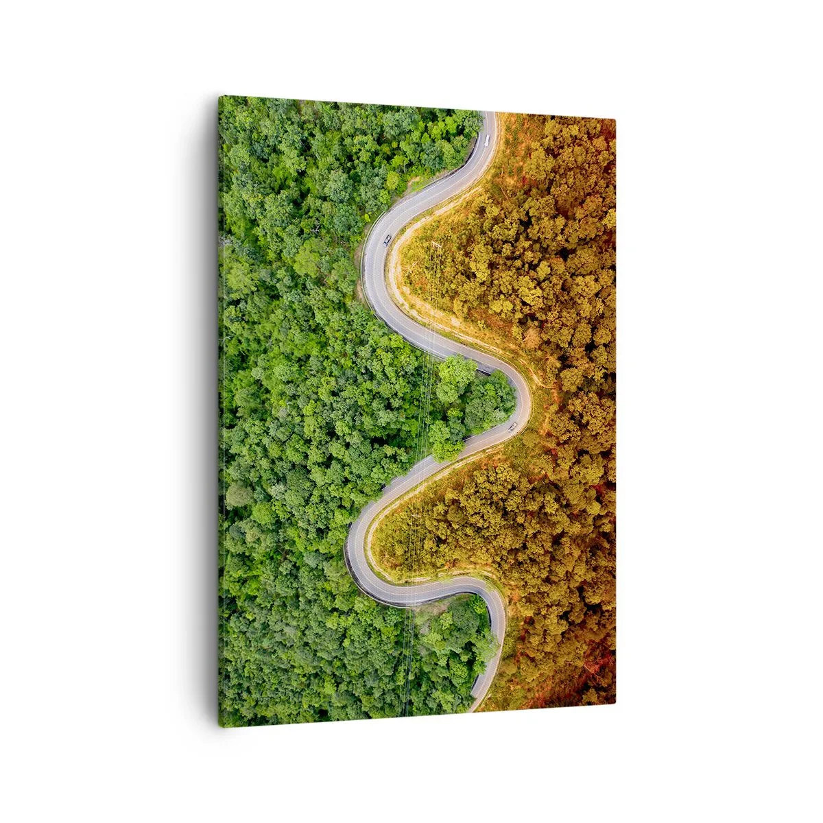 Lærredstryk - Billede på lærred - Grænser og gennembrud - 50x70 cm