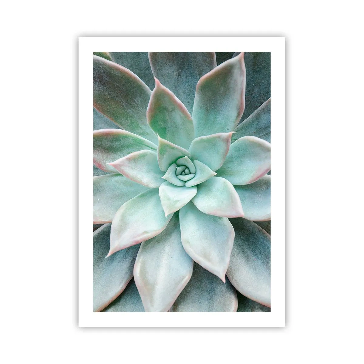 Plakat - Hjertet af ørkenen - 50x70 cm