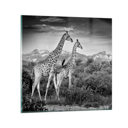 Billede på glas - Afrikas overklasse - 30x30 cm