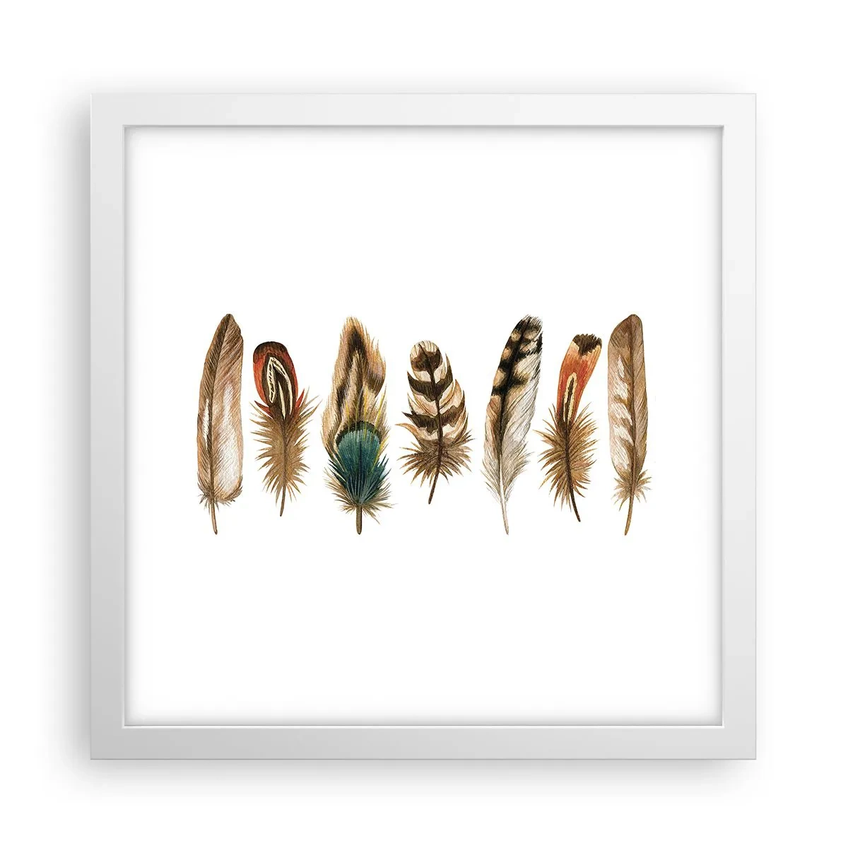 Plakat i hvid ramme - Variation med fjer - 30x30 cm