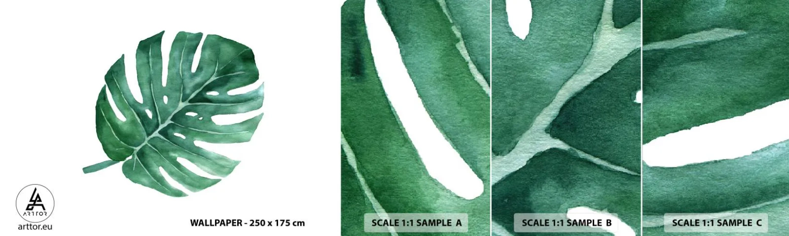 Fototapet Prøve Standard Eco - Grønt koncept - Monstera, Blad, Boho - 100x30 cm