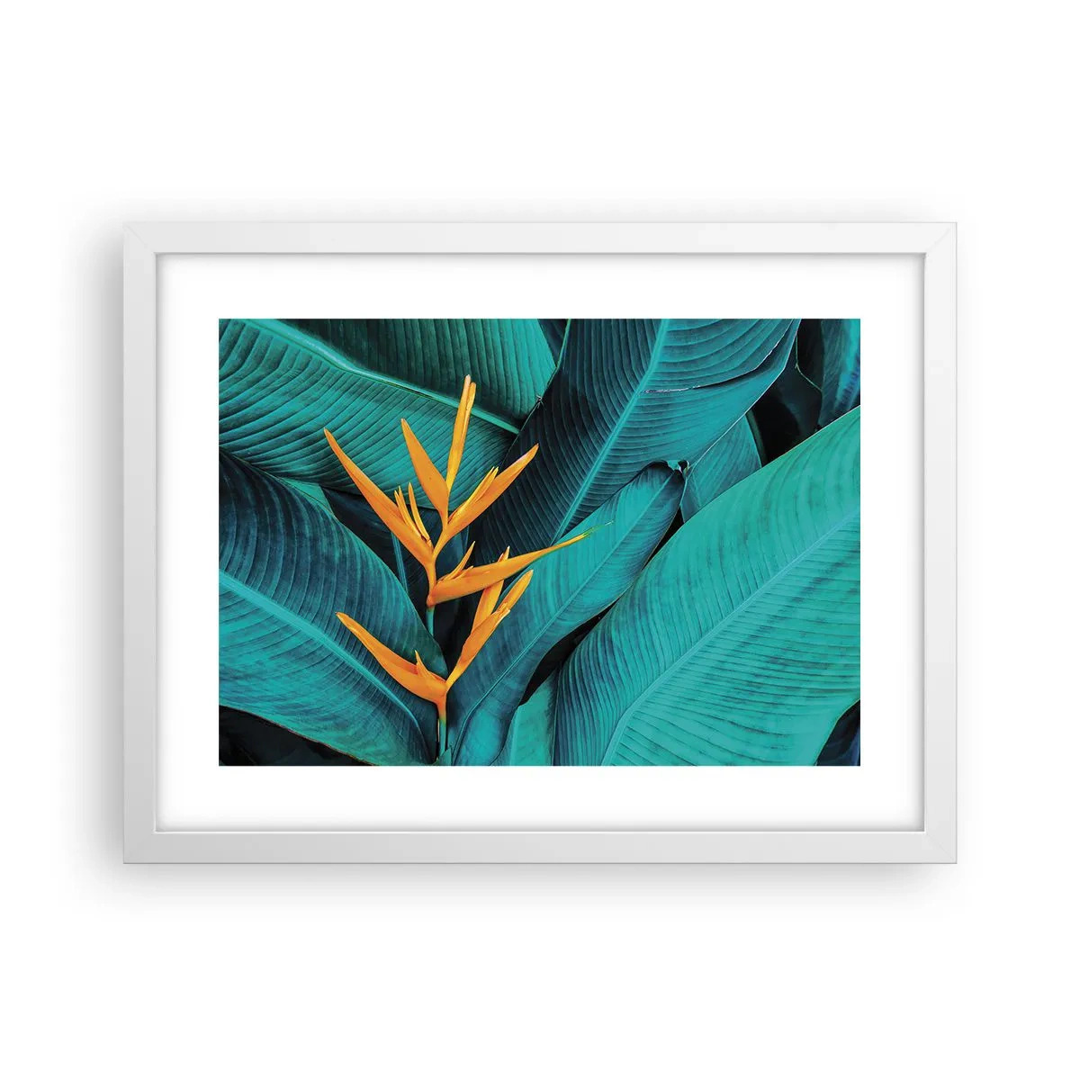 Plakat i hvid ramme - Edens blomst - 40x30 cm